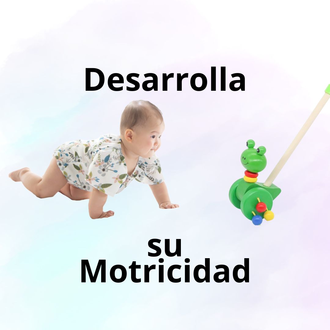 Andador de Animalitos Madera - Didactico